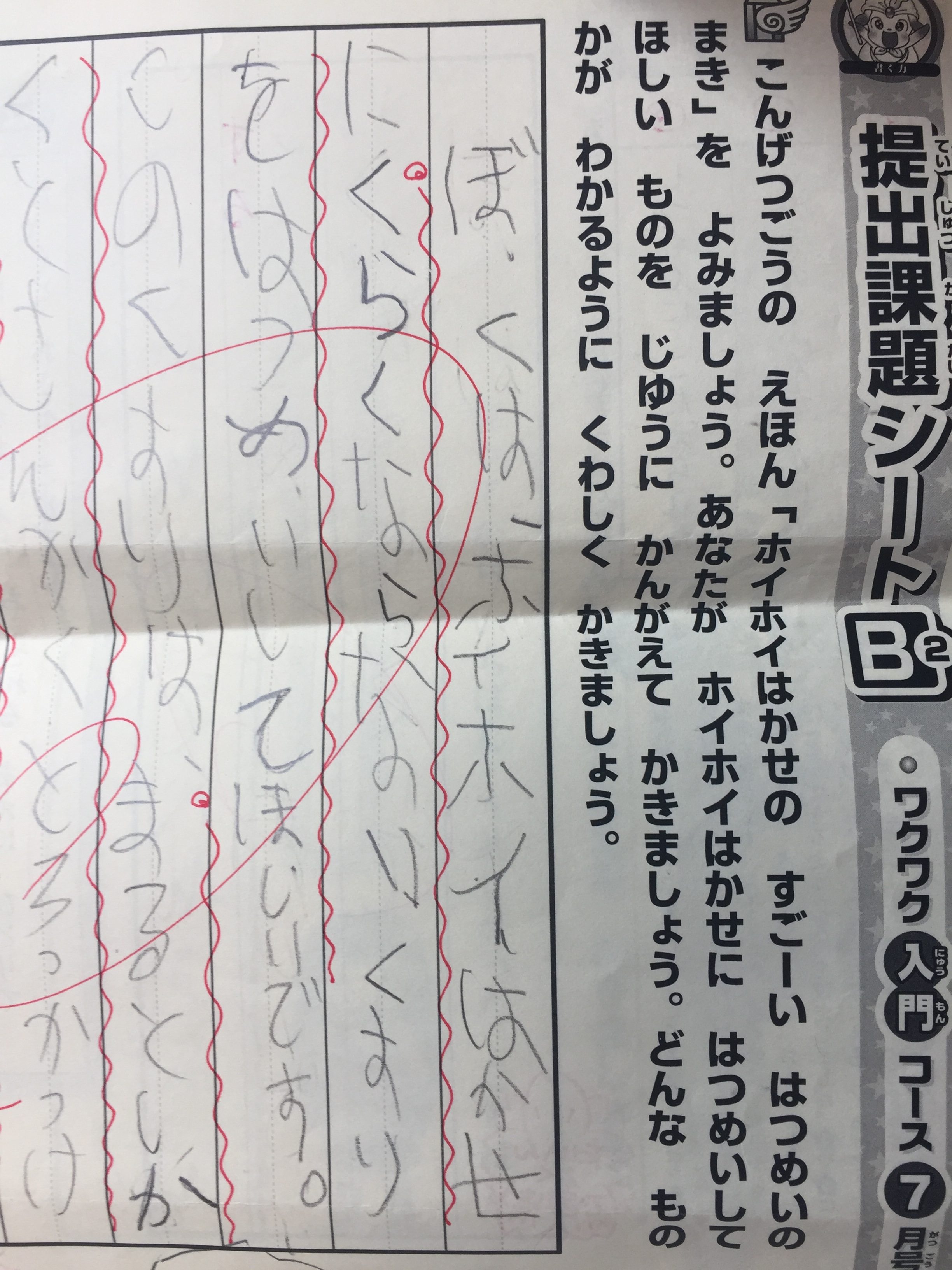 作文通信教材 ブンブンどりむは年長でも可能か そこで ママは考えた 中学受験って何だっけ